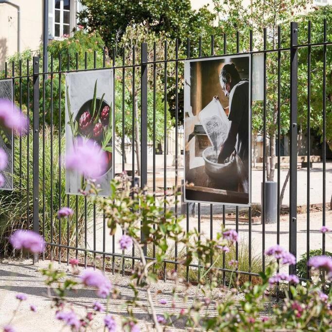 Taote - Studio Avec Terrasse Au Coeur De Ville Brignoles Exterior foto